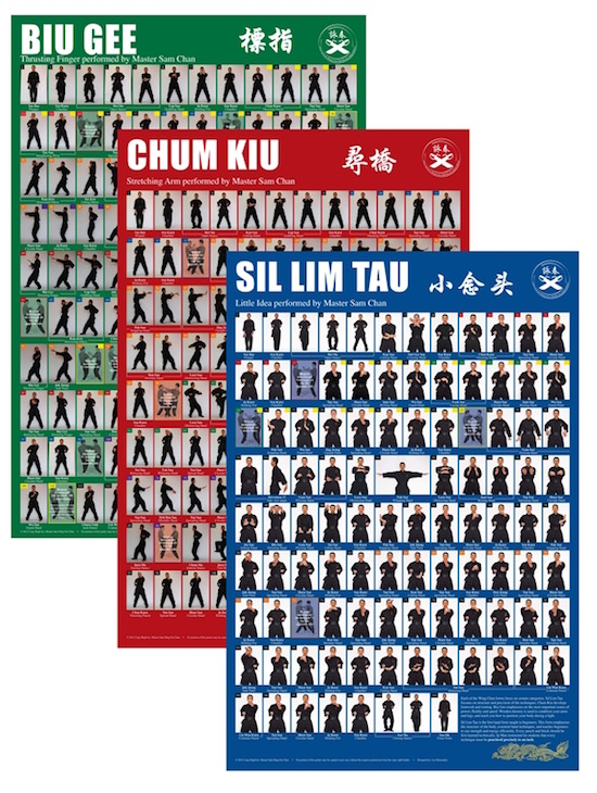 Wing chun forms step by step pdf