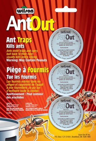 wilson ant out bait instructions