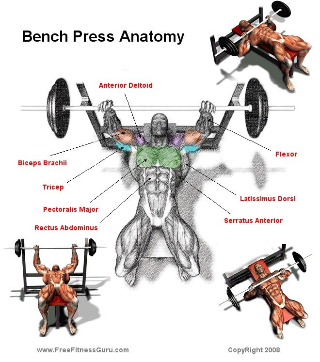 bench press exercise instructions
