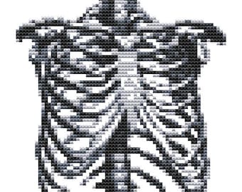 Free pdf anatomy cross stitch patterns